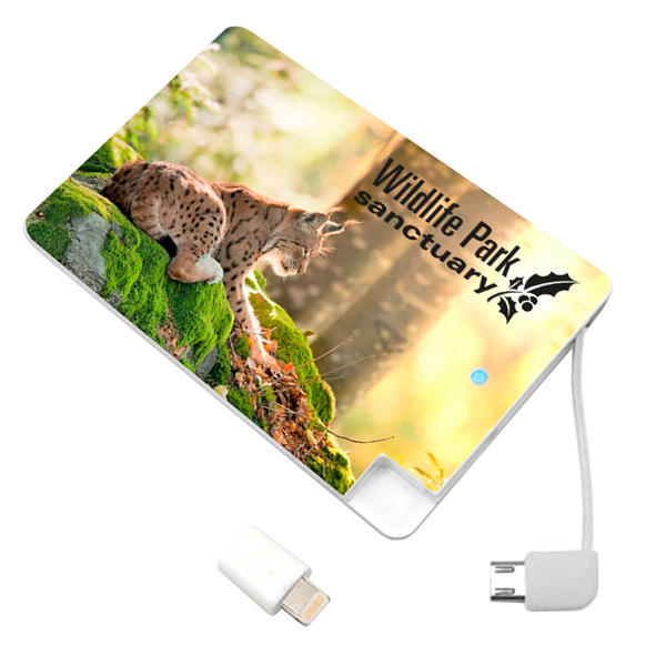 name card power bank